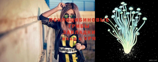 альфа пвп Гусь-Хрустальный