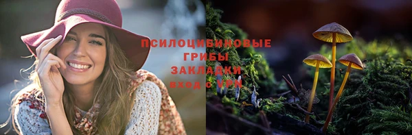 мяу мяу кристалл Гусев