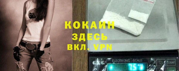 альфа пвп Гусь-Хрустальный