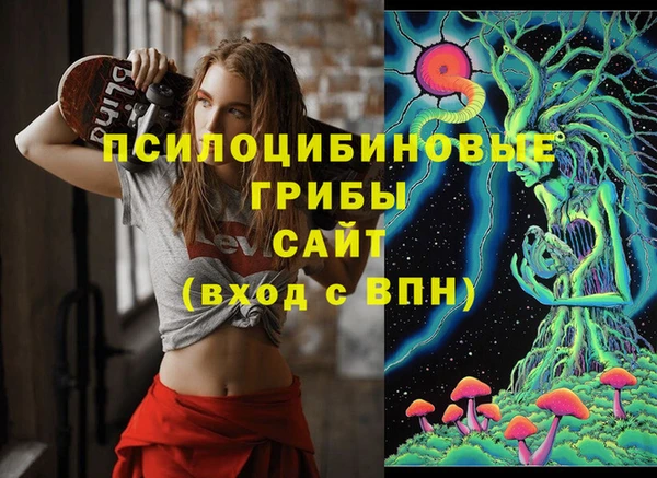 альфа пвп Гусь-Хрустальный