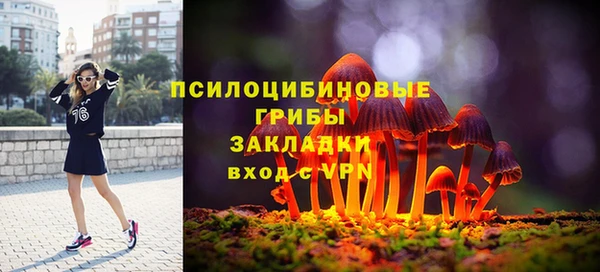 мяу мяу кристалл Гусев