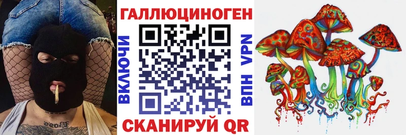 Псилоцибиновые грибы Psilocybe  Камень-на-Оби 